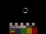 V19d8229 J1q792.1 Q921 dM f226 la.jpg